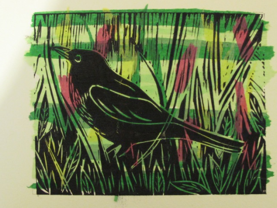 Mary Muir - Blackbird lino print