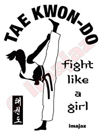 taekwondo-art-fight-like-a-girl