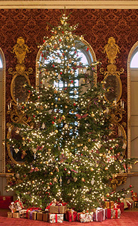 Holkham-Hall-Christmas-tree