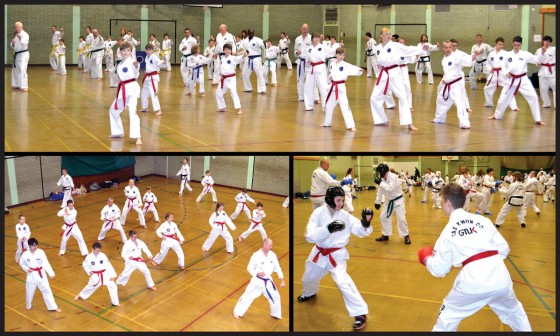 Taekwondo seminar