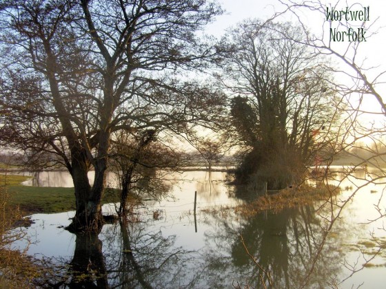waveney-floods