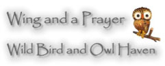 Wing-and-a-Prayer-Wild-Bird-and-Owl-Haven