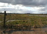 Gillingham Marshes in Flood