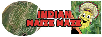 indian-maze-image