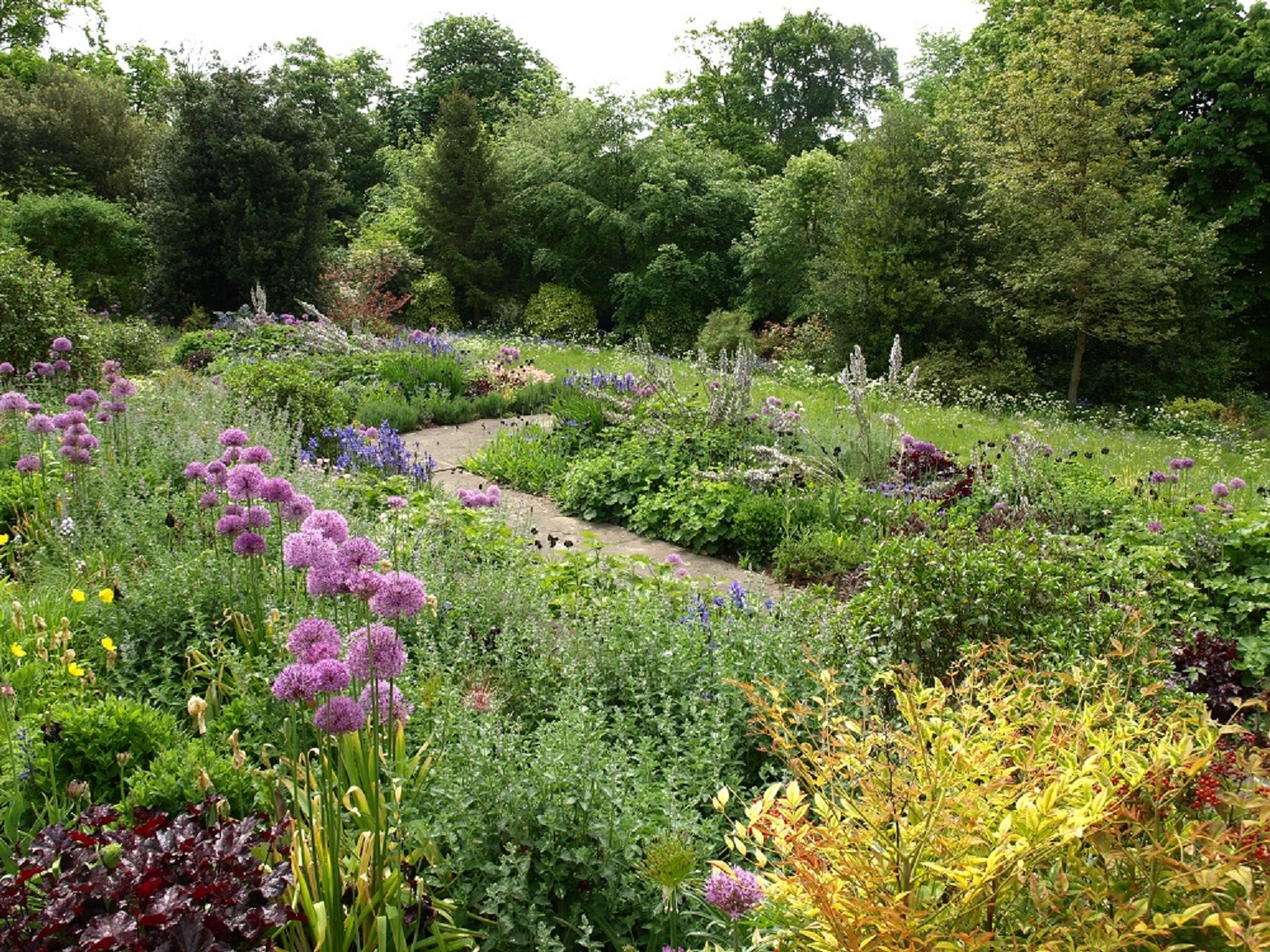 All about Plants May 2013 - National Gardens Scheme in Norfolk - iceni ...