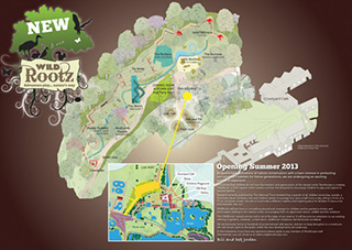 WildRootz-Proposed-Plan-icenipost-news