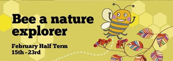 Buzz-around-at-Nature-Explorer-at-Pensthorpe