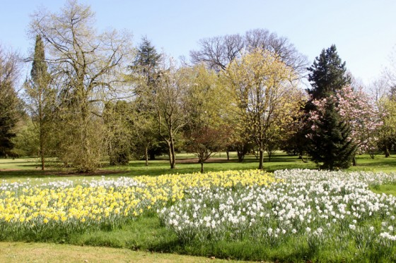 Bradenham-Hall-gardens