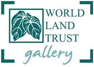 WLT-exhibition-inspires-events-for-children-and-adults-in-Halesworth-2