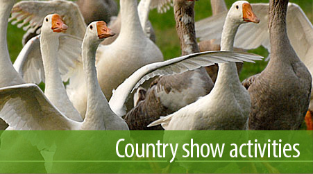 weald country show