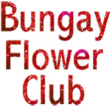 Bungay Flower Club AGM