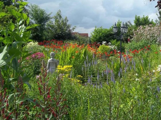 Norfolk Open Gardens: Daisy Cottage in Roughton
