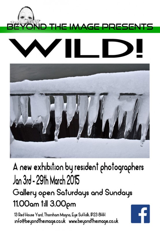 photography exhibitions