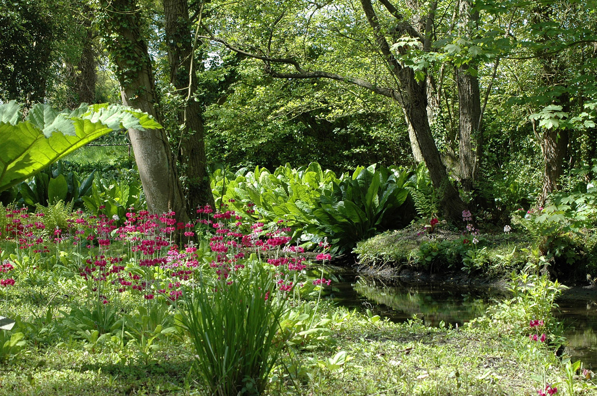 Fairhaven woodland and water garden