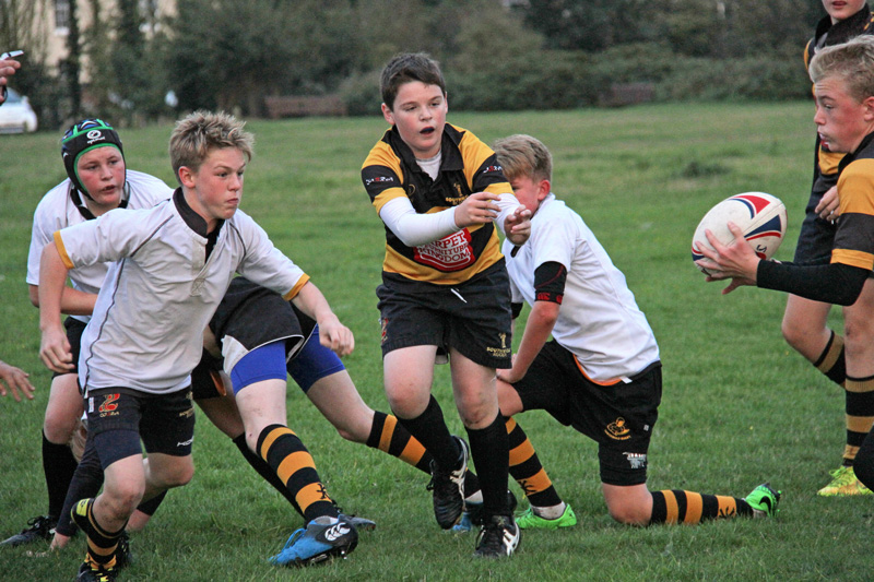 Southwold Rugby Club Mini & Youth Roundup