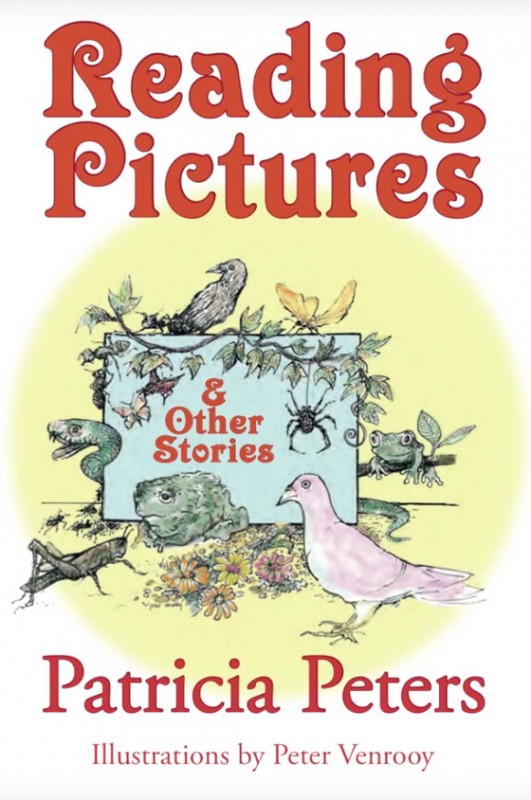 Reading Pictures and other Short Stories