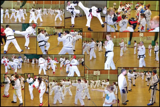 Taekwondo Clubs