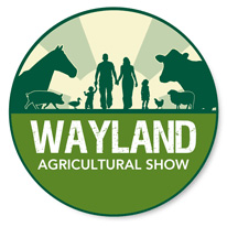wayland-show
