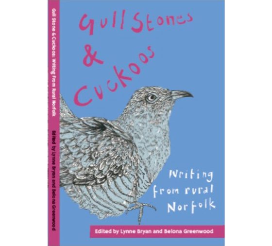 gulls-stones-and-cuckoos