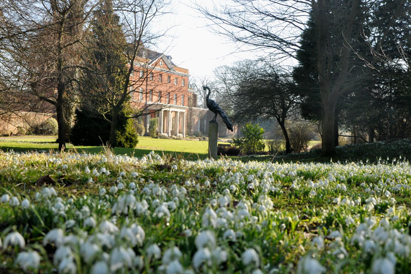 Raveningham Gardens opens for the snowdrop season