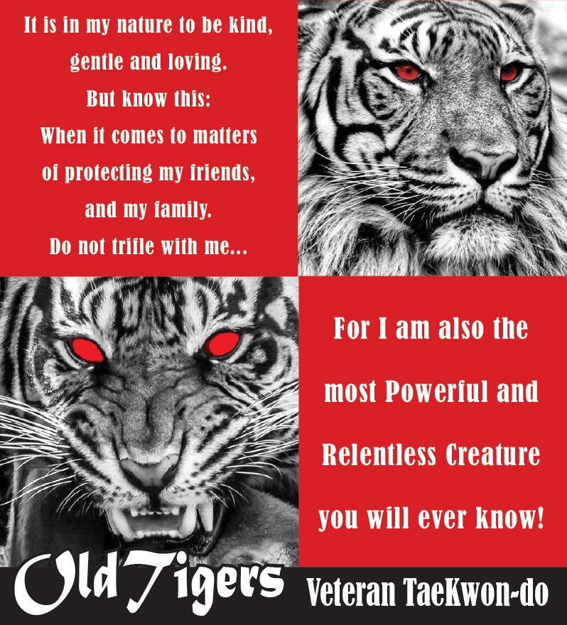 Old Tigers Veteran Taekwondo