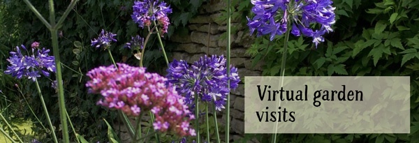 Virtual Garden Visits
