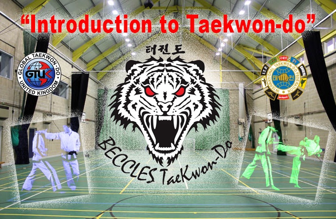 community Taekwon-do sessions.