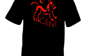 ICENI iceni horse t-shirt Celtic & Norse Symbols as old as time itself!