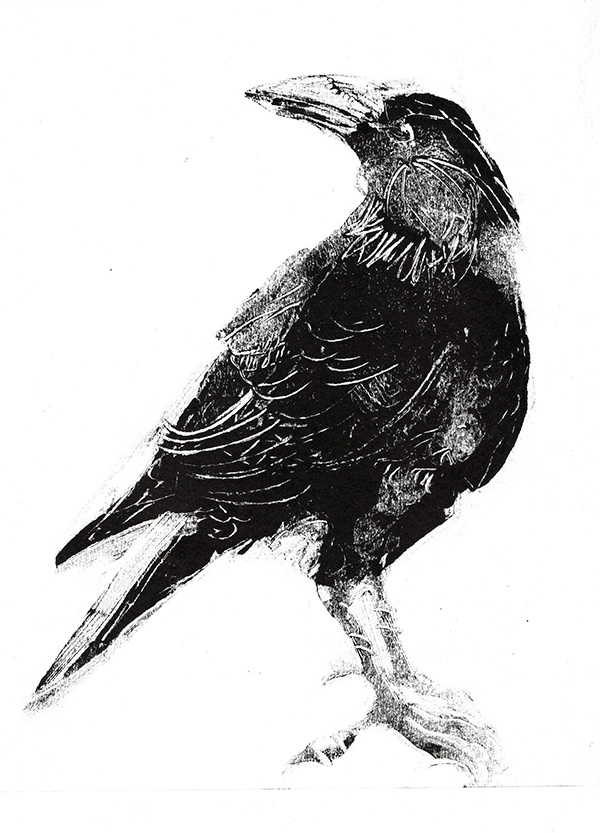 Mono Crow by Rachel Collier-Wilson.