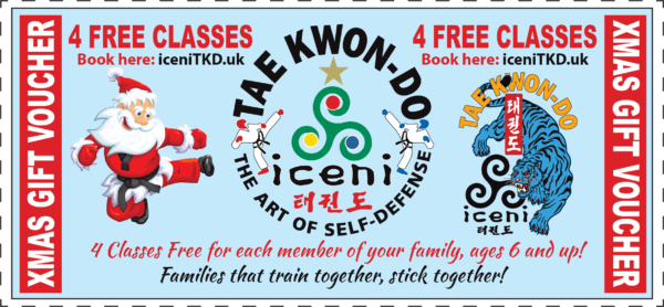 FREE XMAS GIFT VOUCHER | 4 FREE Self Defence Classes
