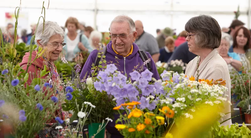 Norfolk & Norwich Horticultural Society